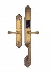 Khóa cửa điện tử đại sảnh biệt thự Demax SL819 GB APP WIFI