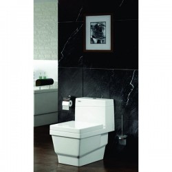 Bồn cầu Govern YKL – F12