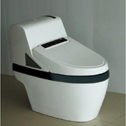 Bồn cầu điện tử Govern YKL – F31H
