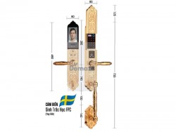 Khóa cửa đại sảnh biệt thự Demax SL988 24K Brass App Wifi