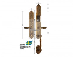 Khóa cửa đại sảnh biệt thự Demax SL888 GB Brass App Wifi