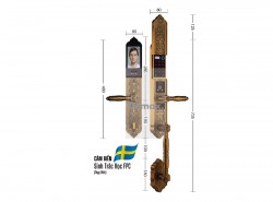 Khóa cửa đại sảnh biệt thự Demax SL986 GB App Wifi