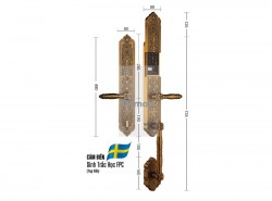 Khóa cửa đại sảnh biệt thự Demax SL886 GB App Wifi