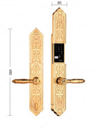 Khóa đại sảnh-biệt thự Demax SL8862 Gold