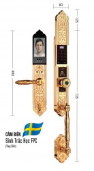 Khóa đại sảnh biệt thự Demax SL938 Gold