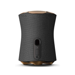 Loa Không Dây Sony SRS-RA5000/MSP1