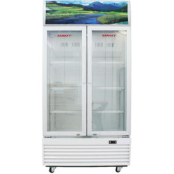 Tủ mát Sanaky VH6009HP