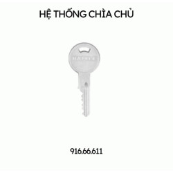 Chìa chủ cấp cao nhất PSM Hafele 916.66.611