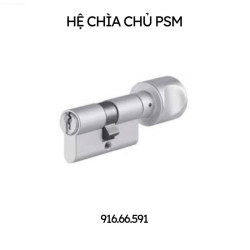 Ruột khóa 1 đầu chìa, 1 đầu vặn inox, chìa chủ PSM Hafele 916.66.591
