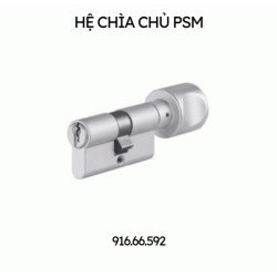 Ruột khóa 1 đầu chìa, 1 đầu vặn inox, chìa chủ PSM Hafele 916.66.592
