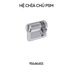 Ruột khóa một đầu chìa, chìa chủ_PSM Hafele 916.66.601