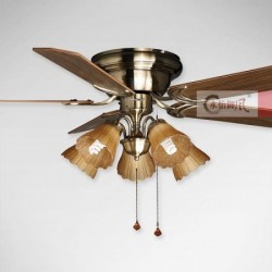 Quạt trần Mountain air 52YFA-1019(N)