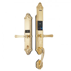 KHÓA CỬA ĐIỆN TỬ THÔNG MINH GIOVANI GSL A165 GOLD