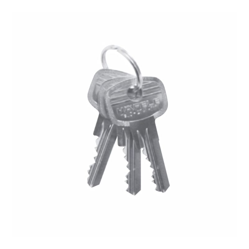 Chìa khóa Hafele 916.66.552 individual key EM 6 pin